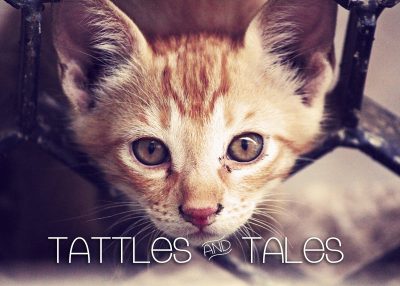 Tattles &amp; Tales